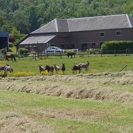 Les Mout'Anes Bed & Breakfast Saint-Hilaire-sur-Helpe Exterior foto