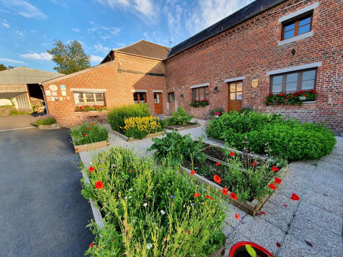 Les Mout'Anes Bed & Breakfast Saint-Hilaire-sur-Helpe Exterior foto