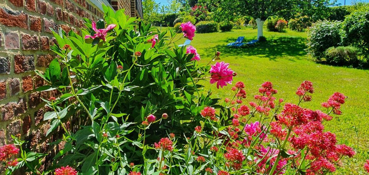 Les Mout'Anes Bed & Breakfast Saint-Hilaire-sur-Helpe Exterior foto