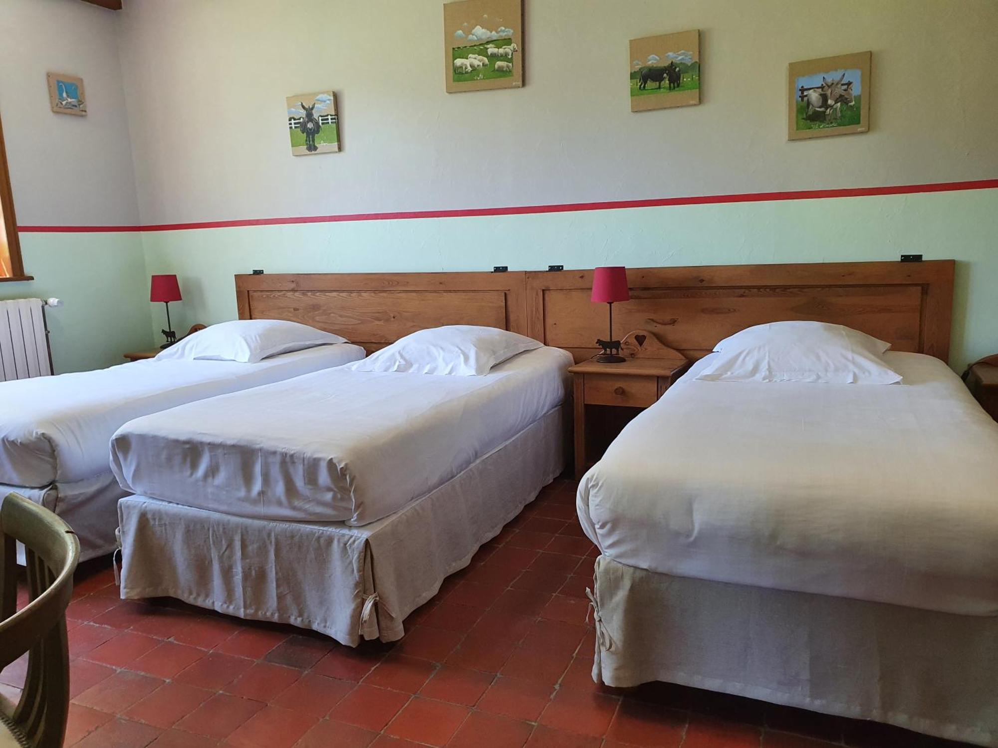 Les Mout'Anes Bed & Breakfast Saint-Hilaire-sur-Helpe Exterior foto