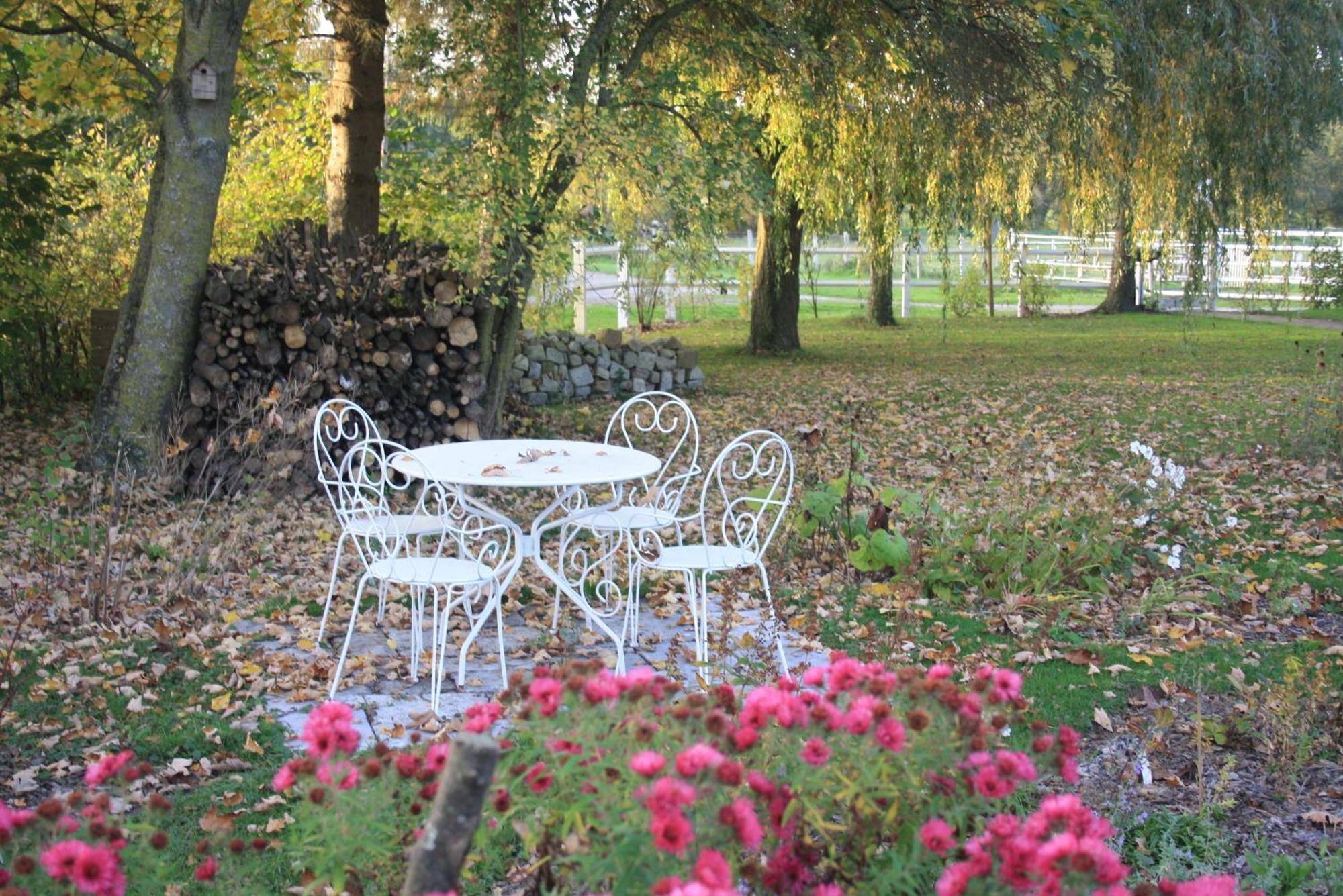 Les Mout'Anes Bed & Breakfast Saint-Hilaire-sur-Helpe Exterior foto