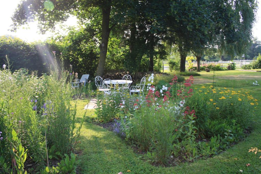 Les Mout'Anes Bed & Breakfast Saint-Hilaire-sur-Helpe Exterior foto