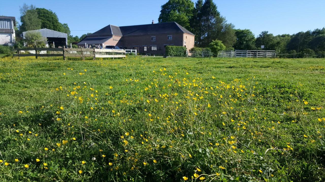 Les Mout'Anes Bed & Breakfast Saint-Hilaire-sur-Helpe Exterior foto