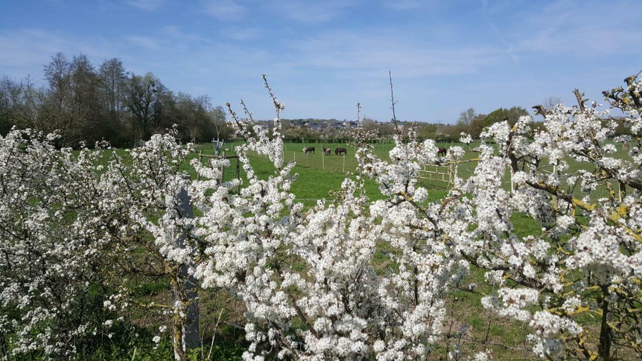 Les Mout'Anes Bed & Breakfast Saint-Hilaire-sur-Helpe Exterior foto